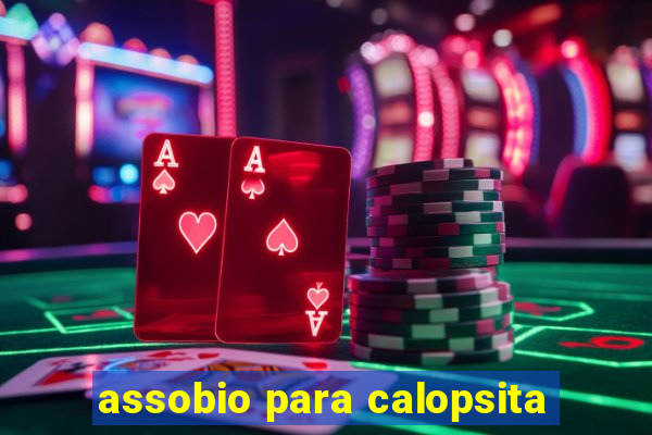 assobio para calopsita